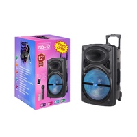 Altavoz de Karaoke NDR-12, Bafle Bluetooth, Haut-Parleur con Micrófono, Altavoz de Karaoke de 12 Pulgadas para Fiestas al Aire Libre con Micrófono y Bluetooth