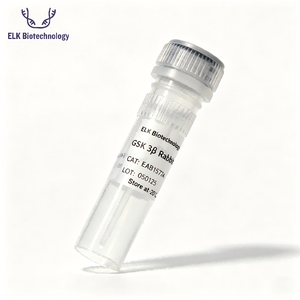 Anticorps polyclonaux de lapin <span class=keywords><strong>TIGAR</strong></span>, pour la recherche scientifique - Product Image 1