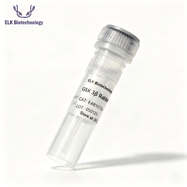 Angiotensin(1-7) Mas Receptor Rabbit Polyclonal Antibody, for Scientific Research
