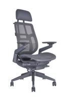 Chaise de bureau ergonomique Eagleseating OEM, best-seller, avec massage, support lombaire, dossier en maille, pivotante, pour la maison