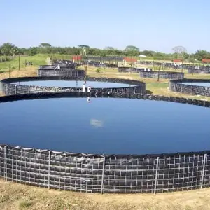 Revêtement d'étang à poissons à géomembrane HDPE qui résistera à une variété de conditions météorologiques et aquatiques