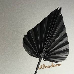 Fleurs et plantes stabilisées personnalisées à prix avantageux, très demandées, pour arrangements floraux : Pampas, Palmier <span class=keywords><strong>Soleil</strong></span>, Palmier <span class=keywords><strong>Noir</strong></span> - Product Image 6