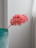 Bouquet de fleurs séchées en gros, tiges florales éternelles conservées, fleurs d'hortensia pour la décoration intérieure
