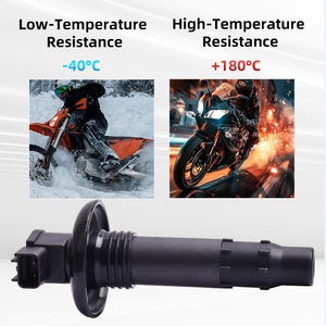 电机高压线圈点火线圈高压组适用于庞巴迪 Expedition V Islandia 220 Islandia <span class=keywords><strong>SE</strong></span> 2 X Speedster <span class=keywords><strong>150</strong></span> - Product Image 3