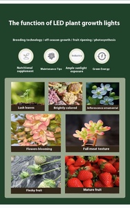 Equipo inteligente de plástico hidropónico para interiores LED, maceta de cultivo sin suelo carnosa vegetal para plagas potencialmente tóxicas - Product Image 3