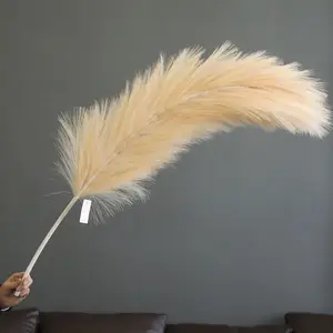 Variety Of Soft And Fluffy Wholesale ostrich feather fan - Alibaba.com