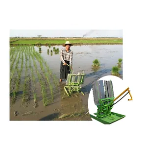 Trapiantatrice di riso a piedi tenuta in mano piantatrice di piantine di risaia trapiantatrice di piantine di colture