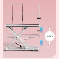 Table de toilettage électrique de luxe personnalisée, réglable en hauteur, en métal, pour chiens et chats, avec fonction sèche-cheveux