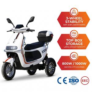 Scooter Quater-1 de 1000w con 4 Ruedas Grandes y Homologación EEC para Personas Mayores 1. Sistema de Gestión de Carga de Tres Ruedas (motor y controlador) de 800w - Product Image 1