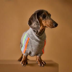 Qiqu pull à col roulé <span class=keywords><strong>teckel</strong></span> personnalisé pour chiens manches à rayures multicolores mignon nouveau maillot de fournitures pour animaux de compagnie - Product Image 3