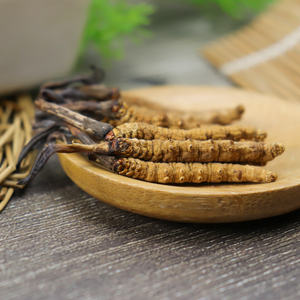 Melhor Preço Qualidade Natural <span class=keywords><strong>cordyceps</strong></span> militaris Bulk Oragnic Cru congelado seco tiens <span class=keywords><strong>Cordyceps</strong></span> <span class=keywords><strong>sinensis</strong></span> - Product Image 2