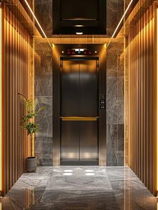 Prix d'usine, support OEM ODM, ascenseur résidentiel pour passagers, kit d'ascenseur pour villas - Product Image 6