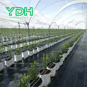 Proveedor Australiano Profesional <span class=keywords><strong>de</strong></span> Invernaderos Agrícolas, Túnel <span class=keywords><strong>de</strong></span> Polietileno <span class=keywords><strong>de</strong></span> Gran Tamaño con Estructura <span class=keywords><strong>de</strong></span> Arco para Cultivo <span class=keywords><strong>de</strong></span> Arándanos - Product Image 5