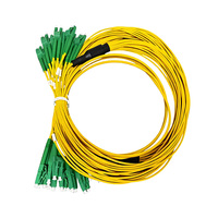 Cordon de brassage fibre optique 24 fibres LC/APC-LC APC monomode 9/125 pour PON, CATV, salle serveur, centre de données, boîtier terminal fibre FTTH