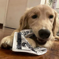 Jouet interactif en peluche pour chien Crinkle Newspaper Poker avec fonction de dentition à mâcher pour chiot Play