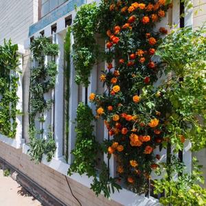 Système de culture de <span class=keywords><strong>tour</strong></span> ZIP verticale hydroponique Lyine Système de culture hydroponique de tuyaux en <span class=keywords><strong>PVC</strong></span> Équipement agricole Jardin hydroponique vertical - Product Image 6