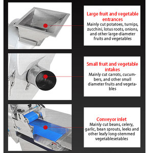 Industrial Dual Head <strong>Vegetable</strong> Cutting Machine Dice Slice Julienne for Leafy Greens Root <strong>Vegetables</strong> - Product Image 3