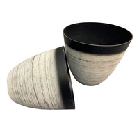 Décor exquis en forme de coquille, dégradé de couleur, Pots de fleurs d'intérieur en plastique pour plantes, vente en gros, offre spéciale