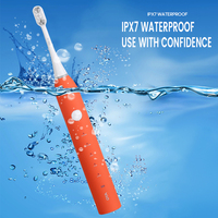 Brosse à dents électrique intelligente certifiée CE/FDA, best-seller transfrontalier, à vibrations haute fréquence, pour un nettoyage en profondeur de la plaque dentaire, facile à transporter