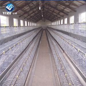 Un tipo <span class=keywords><strong>de</strong></span> <span class=keywords><strong>granja</strong></span> <span class=keywords><strong>de</strong></span> pollo jaula/jaula un tipo barato Prefabricadas Casas <span class=keywords><strong>de</strong></span> pollo - Product Image 4