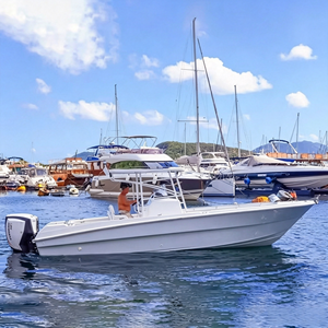 8.50m New Model Frp Center Console Fishing <strong>Yacht</strong>, Yamane <strong>Yacht</strong> with Canopy - Product Image 3