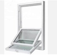 Fenêtre à guillotine simple en vinyle UPVC de style américain personnalisé de haute qualité