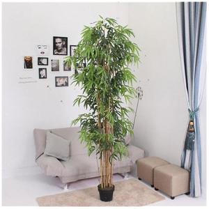 2024 <span class=keywords><strong>Top</strong></span> Bán Lớn Nhân Tạo Ngoài Trời Topiary Cây Cọ Trắng Cọ Dừa Cho Khách Sạn Cho Trở Lại Trường Học Trang Trí - Product Image 5