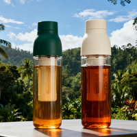 Bouteille d'eau infuseur à thé 620 ml la plus vendue avec filtre amovible et couvercle anti-fuite à vis pour fruits et thé en vrac
