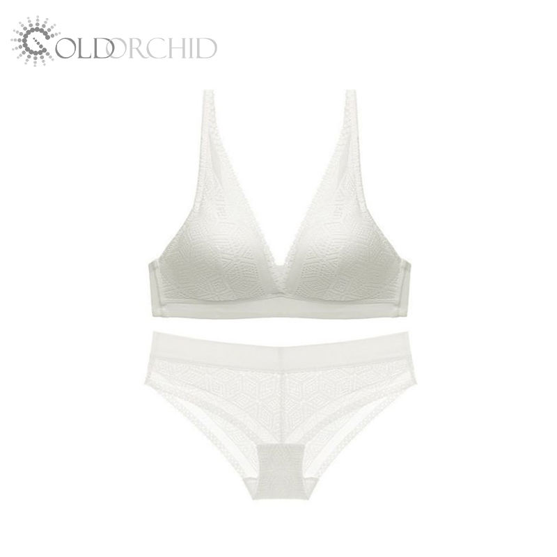 Wholesale Women Lace Wire Free Bra and Bikini Panty Brief Lingerie Sets with Embroidery Breathable Everyday Sexy Underwear