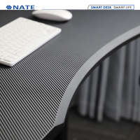 2SBF2 Table de bureau électrique à hauteur réglable avec cadre de bureau debout avec tables de jeu légères d'ambiance pour meubles de maison