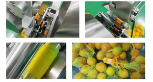 Máy đóng gói túi lưới cho trái cây và rau quả Công suất 40 túi/phút - Product Image 2