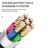 Nouveau câble de charge rapide pour téléphone portable lumineux de nuit, adopte une conception à double port C, matériau nylon PVC, TYPE-C universel