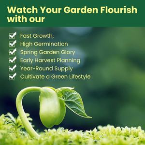 Mélange d'herbes anciennes, 15 sachets, plus de 4500 graines, non-OGM, <span class=keywords><strong>basilic</strong></span>, menthe, <span class=keywords><strong>ciboulette</strong></span>, pour jardin d'herbes aromatiques intérieur/extérieur - Product Image 3