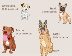 Mangkuk anjing kayu tinggi Modern abad pertengahan dengan mangkuk baja tahan karat tempat makan hewan peliharaan kayu Naik dapat disesuaikan - Product Image 3