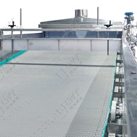 Leadworld Fruit- en Groentebewerkingslijn Snijmachine Motor 500kg/u Continue Verwerking Koelsysteem RVS Constructie