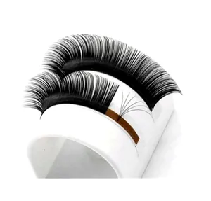 2022 Matte black eyelash extension private labels big lash trays faux mink volume easy fan eyelash extensions supplies