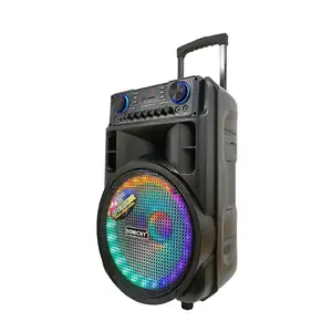 Altavoces profesionales portátiles de 10 pulgadas, altavoces originales de buena calidad, con carrito amplificador de productos, 80W