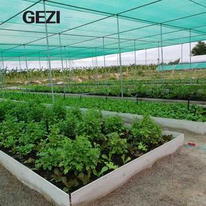 Car Park Green House Grape Agriculture Beach Vegetable Greenhouse Outside Home Privacy Fence Screen <strong>Garden</strong> <strong>Mesh</strong> Sail Shading <strong>Net</strong> - Product Image 3