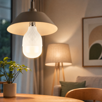 Ampoule LED PP haute puissance, douille E27 B22, 5W 10W 15W 20W 30W 40W 50W 60W, fabricant