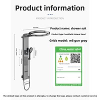 Ensemble de douche de luxe léger gris anthracite avec affichage numérique et chauffe-eau thermostatique pour usage domestique, à alimentation directe usine