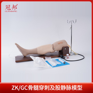 Modèle de ponction osseuse et de ponction veineuse fémorale pour l'enseignement médical en situation d'urgence humaine - Product Image 2