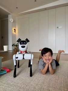 Mainan Robot Menari Pintar yang Dapat Diprogram Model Anjing Dachshund untuk Anak-anak Hiburan Olahraga Aksi Interaktif Dalam Ruangan 64GB+128GB - Product Image 6