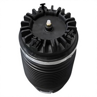 Luftfederung für Dodge RAM1500 Hintere Luftfeder 04877136AB 68248948AA 04877136AA 4877136AB 4877136AA