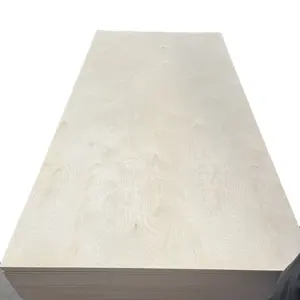 中国廉价胶合板制造商木材杨木8层板模板胶合板