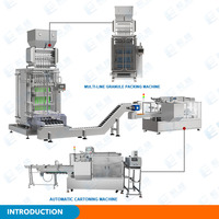 Machine d'emballage automatique multivoies pour sachets de sel et de poivre, cartons et boîtes, 5g, pour épices granulées (comin)