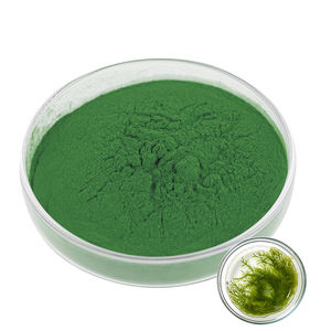 Satılık gıda/yem sınıfı 99% Spirulina tozu - Product Image 1