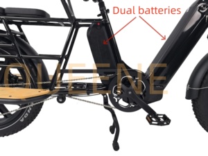 Vélo électrique cargo à longue portée OEM, 250W, double moteur, batterie au lithium, frein à disque hydraulique, vélo électrique 7 vitesses - Product Image 5