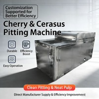 Automatische Fruitpitter Zaadverwijderingsmachine 380V Motor 304 Roestvrij Staal Hoge Efficiëntie 2.2KW Vermogen