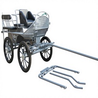 Transport Spécialisé : Chariot à Chevaux à 2 Roues pour Marathon, Traîné par des Poneys