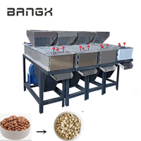 Machine à peler les cacahuètes grillées à peau rouge Machine à peler les amandes et les cacahuètes rouges commerciales